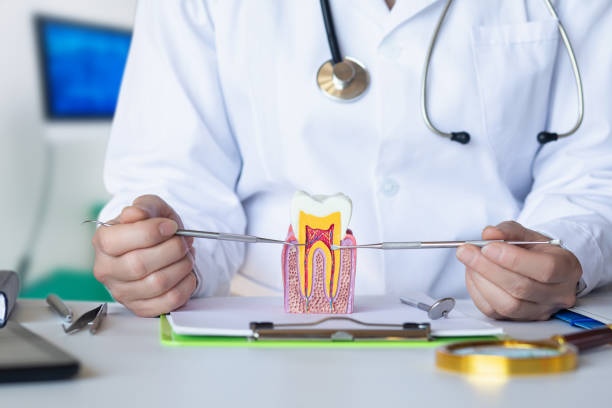 Best Emergency Treatment for Dental Infections or Abscesses in Great Neck Gardens, NY